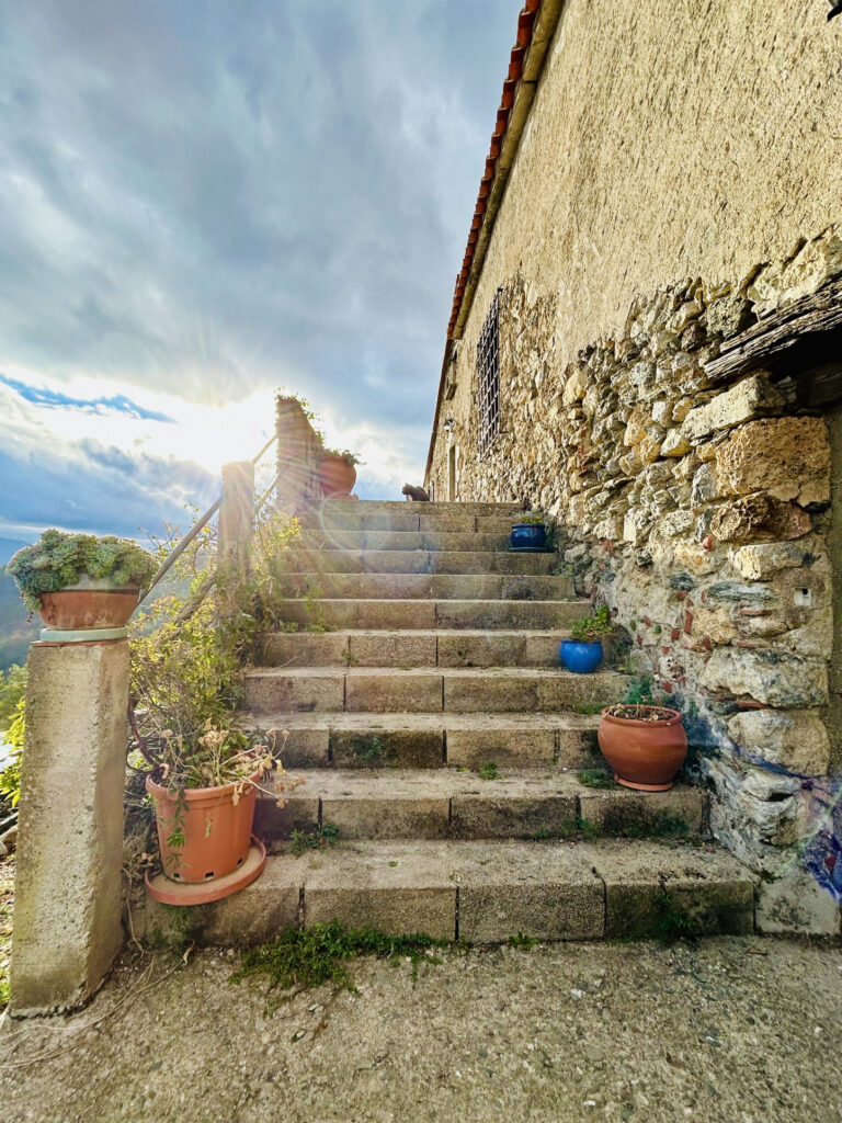 Mas F9 + maison F5 avec forêt à acheter dans le sud de la Fr – 14 pièces – 8 chambres – 230 m²