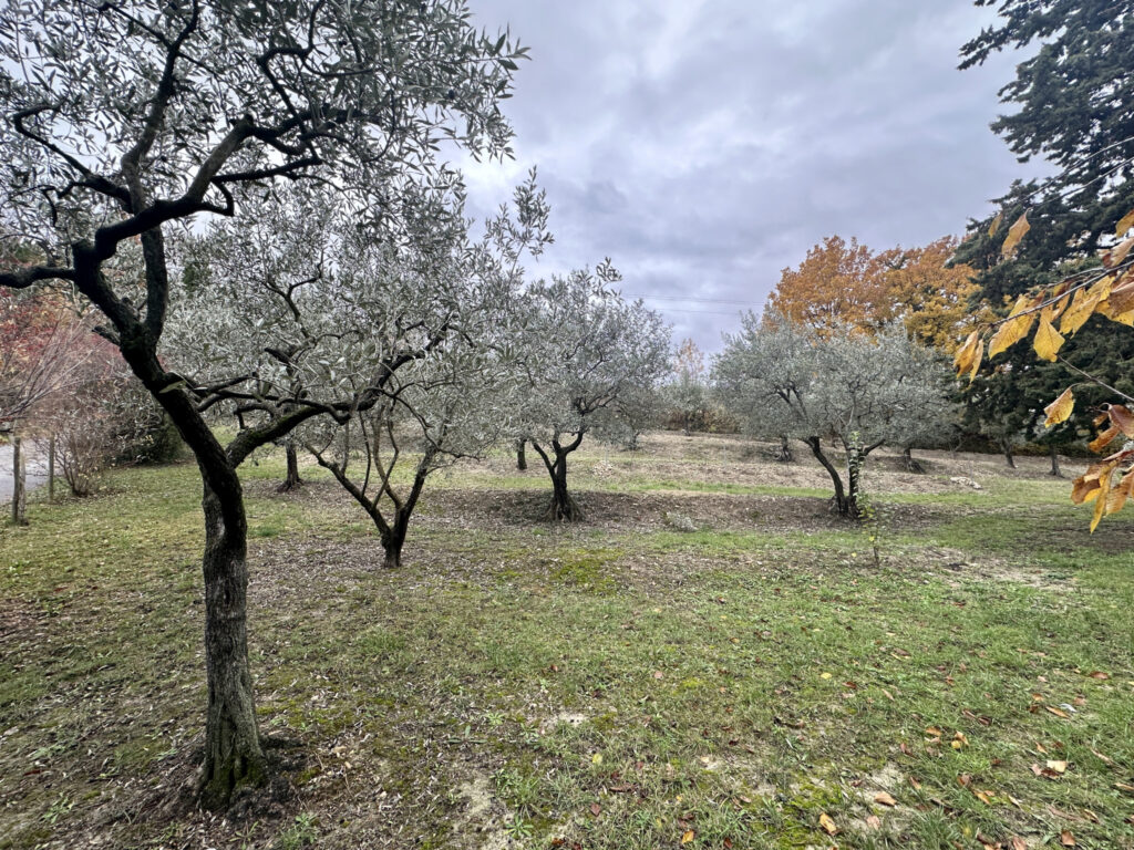 Spacieuse villa dans un cadre enchanteur !! – 8 pièces – 6 chambres – 195 m²