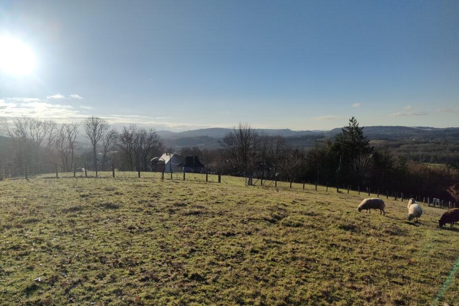 Terrain à vendre à Juillac