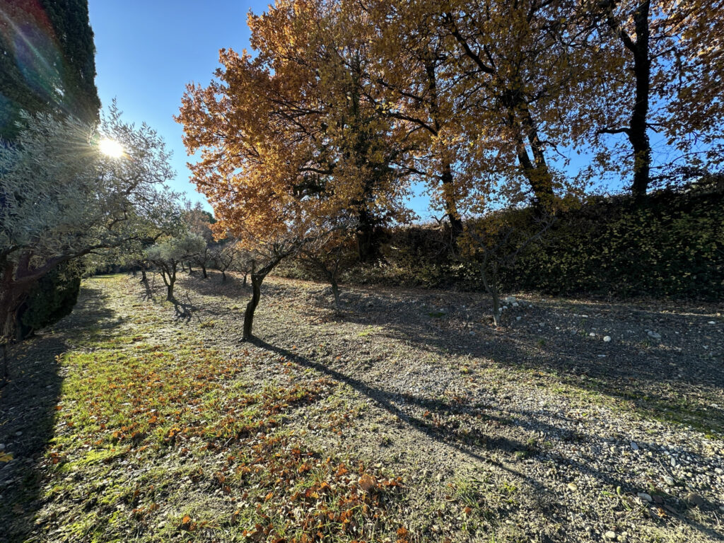 Spacieuse villa dans un cadre enchanteur !! – 8 pièces – 6 chambres – 195 m²