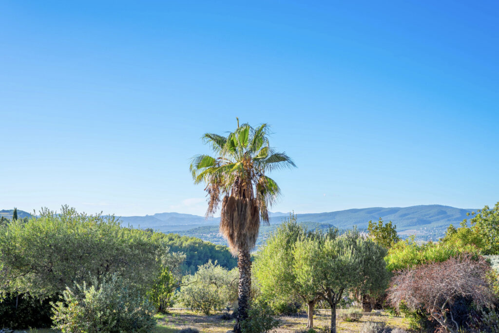 LES HAUTS DU ROUVE  | Maison 7 pièces | Sous-sol + garage |  – 7 pièces – 5 chambres – 258 m²