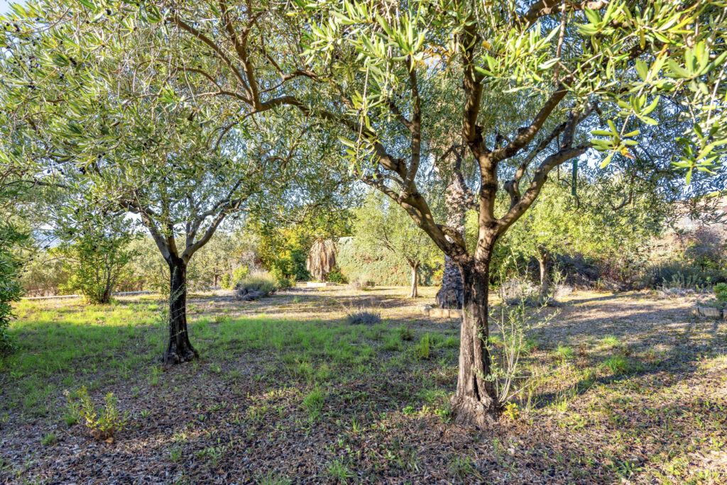 LES HAUTS DU ROUVE  | Maison 7 pièces | Sous-sol + garage |  – 7 pièces – 5 chambres – 258 m²