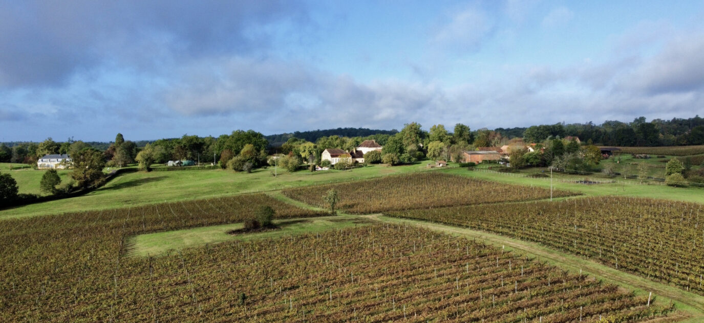 Propriété viticole rare en Pécharment – 7 pièces – 4 chambres – 200 m²