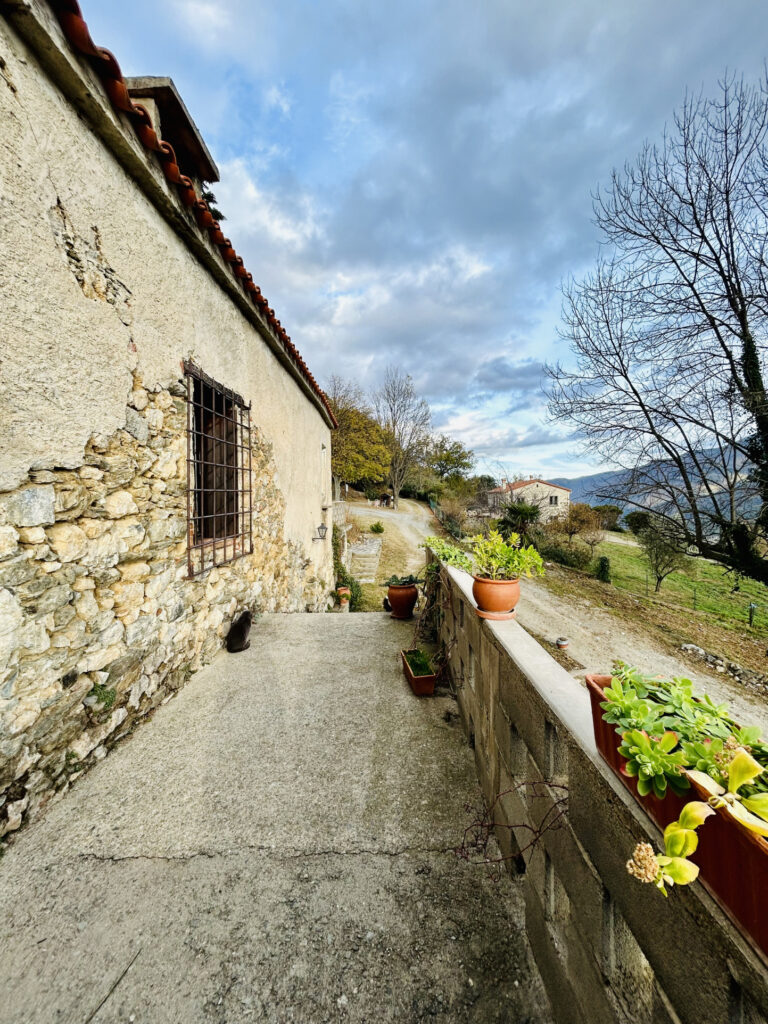 Mas F9 + maison F5 avec forêt à acheter dans le sud de la Fr – 14 pièces – 8 chambres – 230 m²