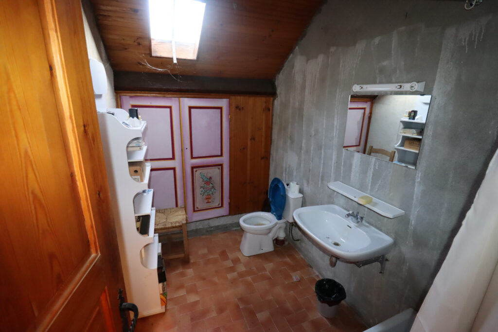 Maison 400 m2 avec commerce – 9 pièces – 5 chambres – 228 m²