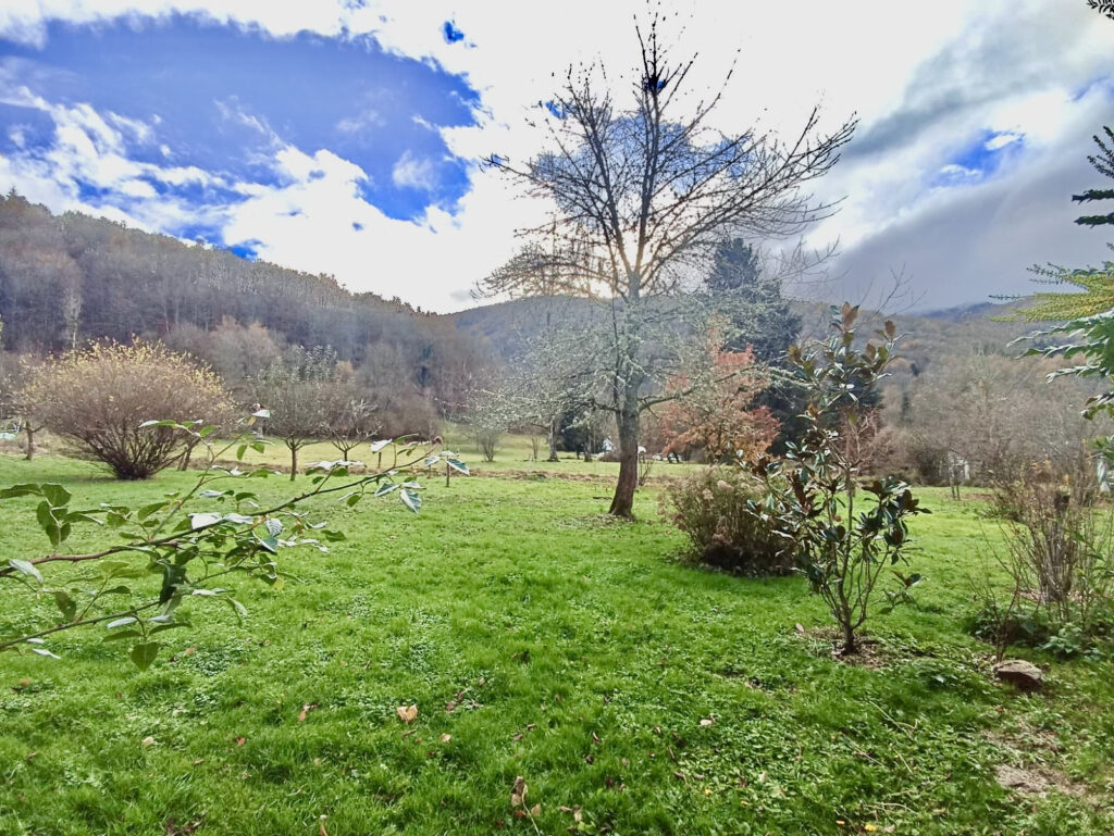 Charme et modernité pour cette propriété rénovée avec dépend – 3 pièces – 2 chambres – 70 m²