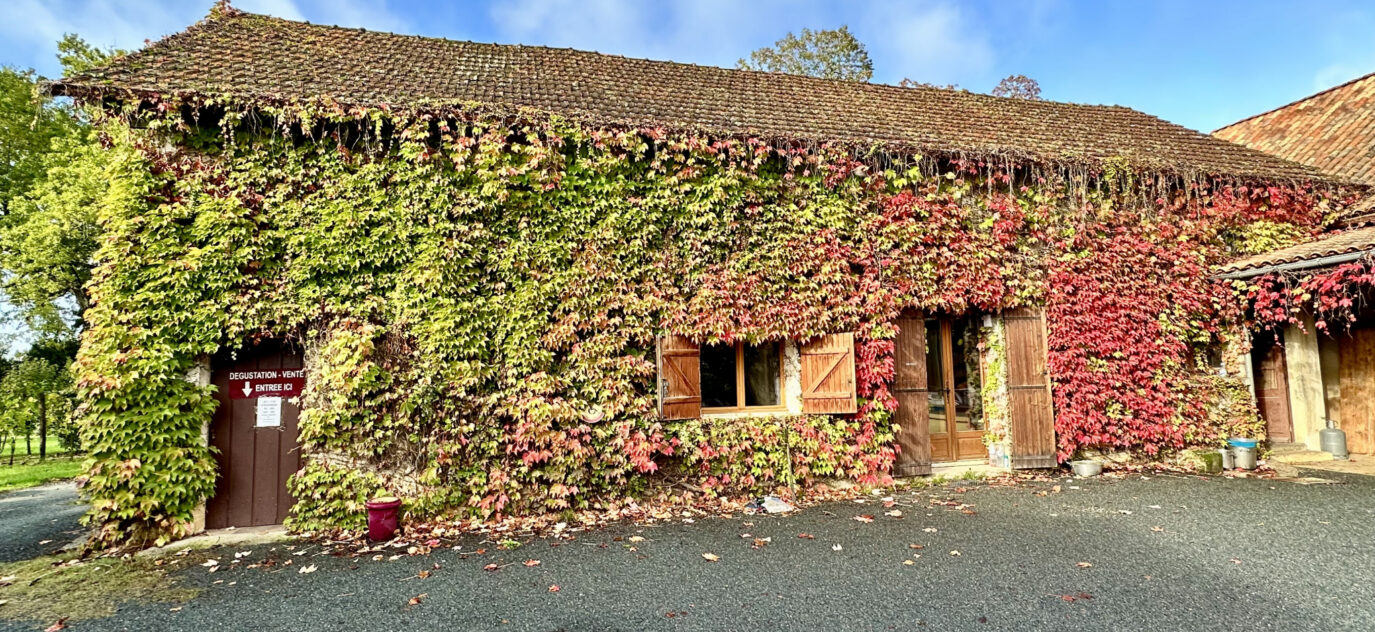 Propriété viticole rare en Pécharment – 7 pièces – 4 chambres – 200 m²