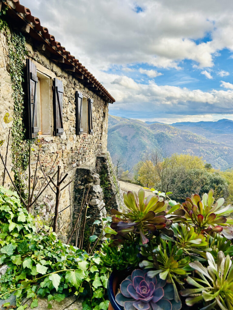 Mas F9 + maison F5 avec forêt à acheter dans le sud de la Fr – 14 pièces – 8 chambres – 230 m²