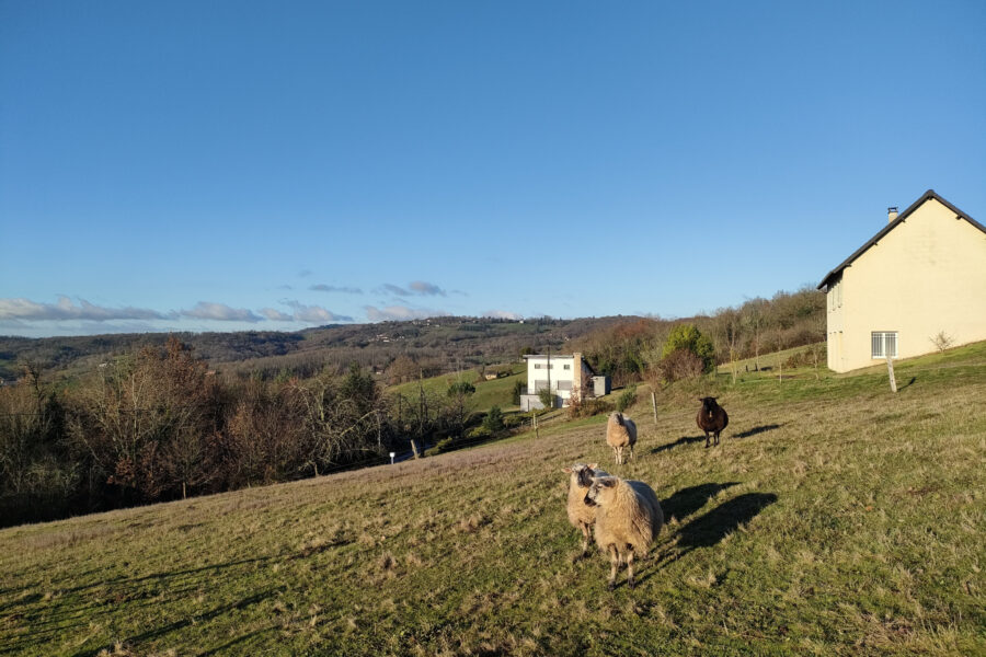 Terrain à vendre à Juillac