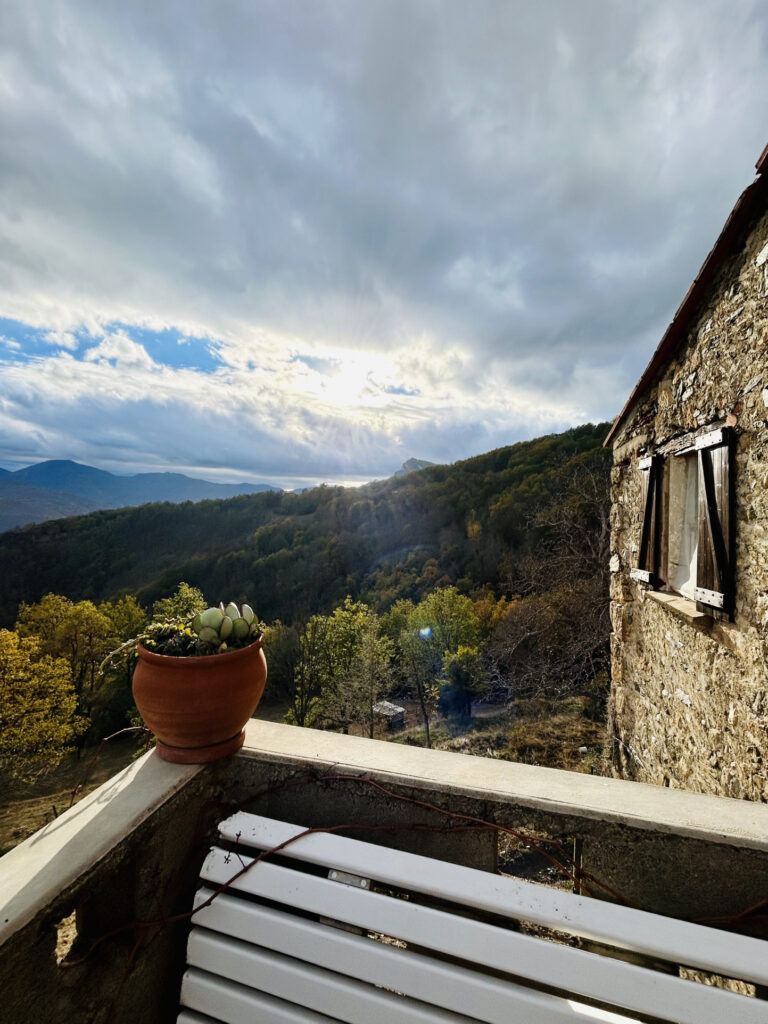 Mas F9 + maison F5 avec forêt à acheter dans le sud de la Fr – 14 pièces – 8 chambres – 230 m²