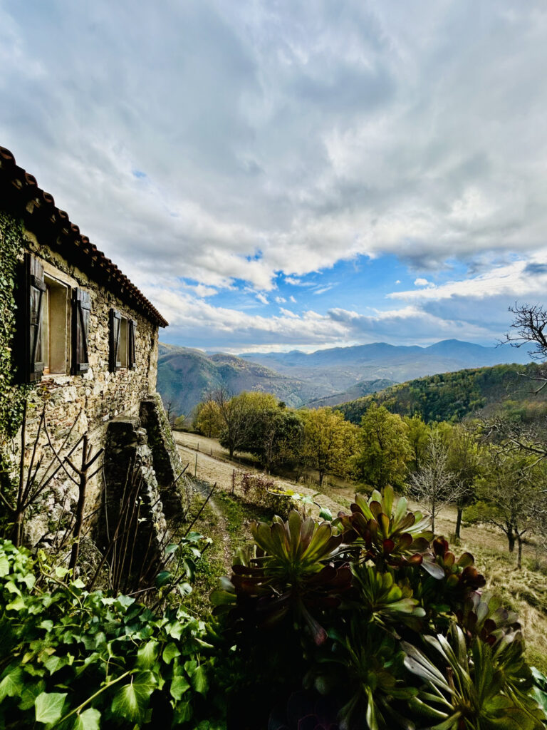 Mas F9 + maison F5 avec forêt à acheter dans le sud de la Fr – 14 pièces – 8 chambres – 230 m²