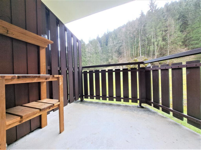 MORZINE – Appartement T1 BIS proche de la télécabine des pro – 2 pièces – 1 chambre – 22 m²