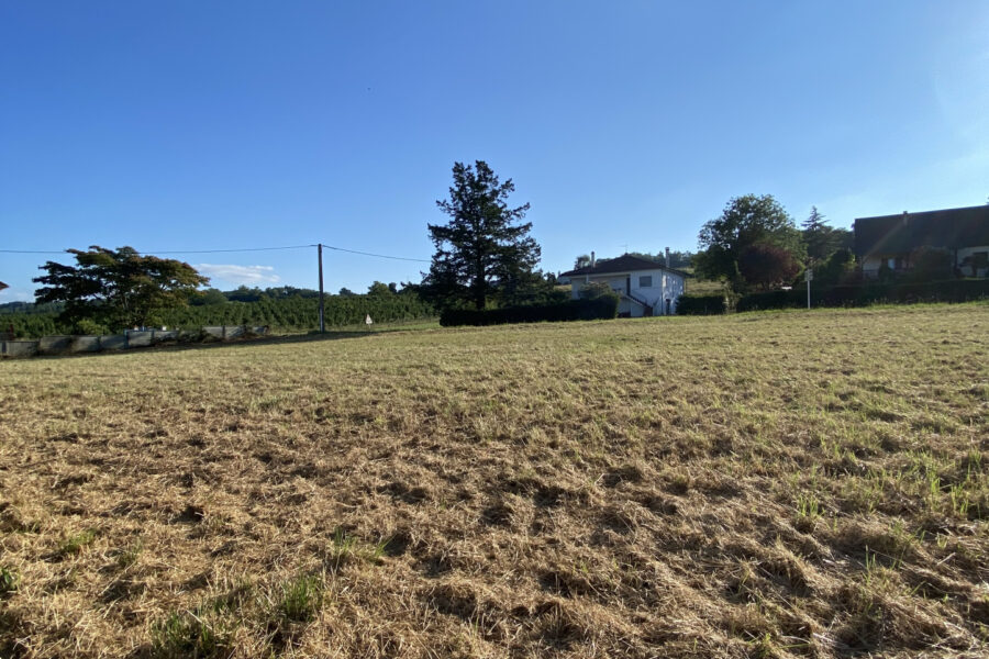 Terrain à vendre à Monein