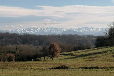 Terrain constructible et viabilisé de + 2 400m2  – NR pièces – NR chambres – 2420 m²