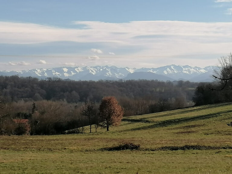 Terrain constructible et viabilisé de + 2 400m2  – NR pièces – NR chambres – 2420 m²