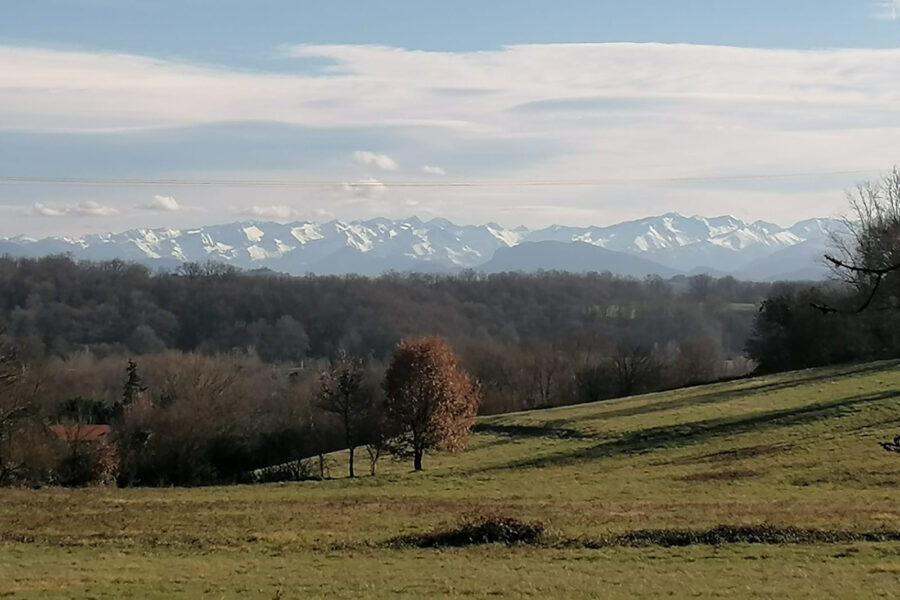Terrain à vendre à Mancioux