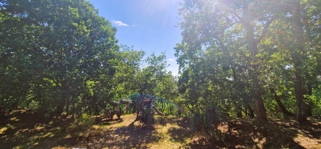 Maison au coeur du Pyla – 8 pièces – 4 chambres – 190 m²