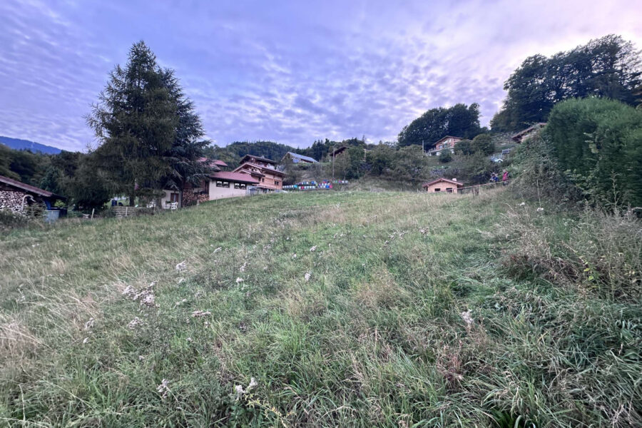Terrain à vendre à Domancy