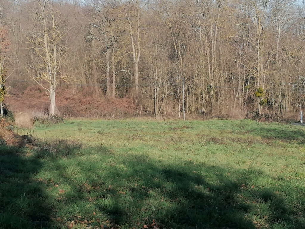 Terrain constructible et viabilisé de + 2 400m2  – 2420 m²