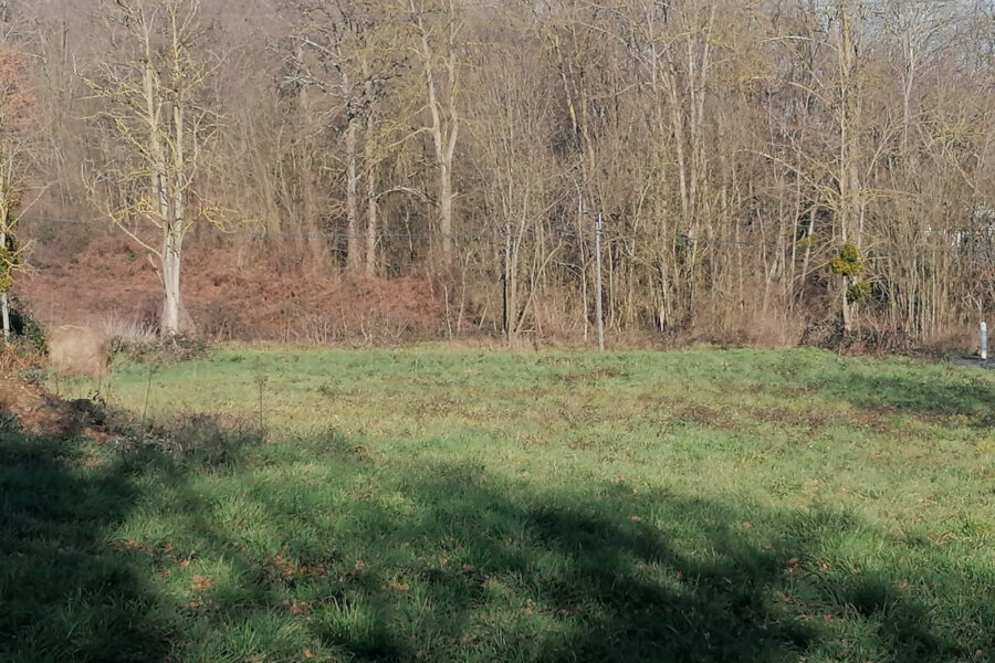 Terrain à vendre à Mancioux