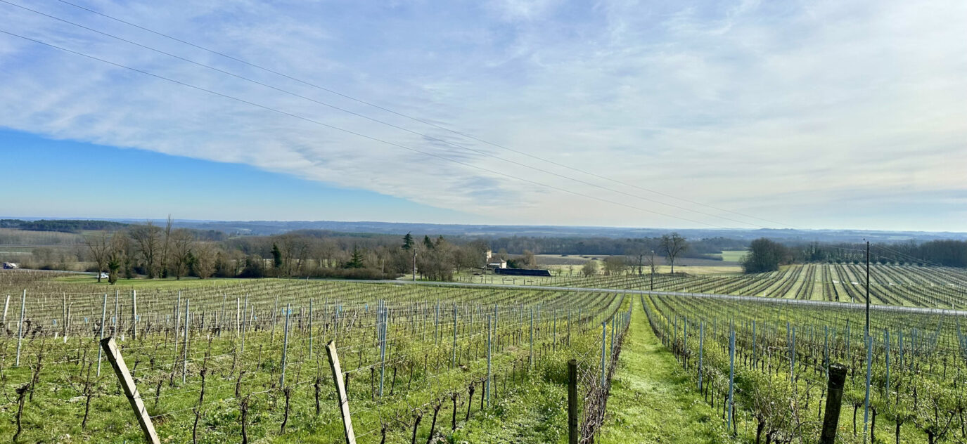 Propriété viticole au Sud de Bergerac  – 500000 m²