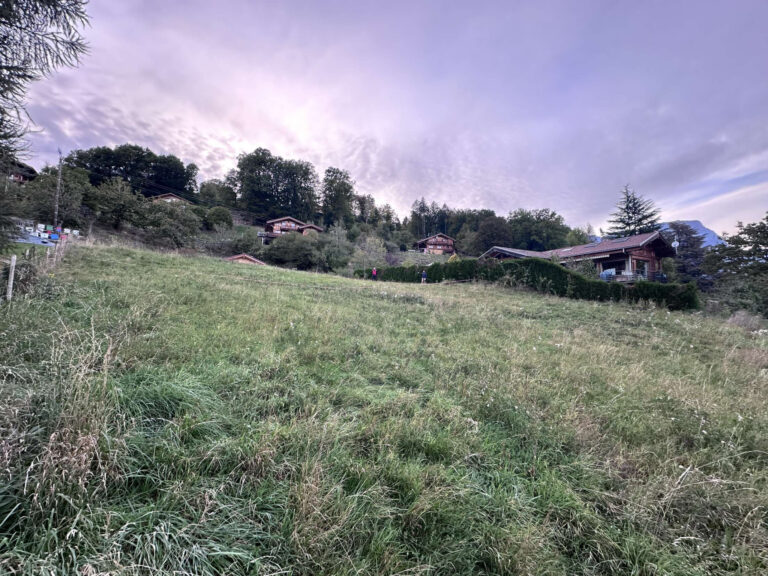 DOMANCY – TERRAIN A BATIR – VUE PANORAMIQUE  – NR pièces – NR chambres – 1200 m²