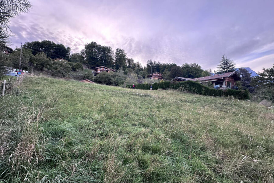 Terrain à vendre à Domancy