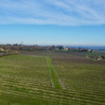 Propriété viticole au Sud de Bergerac  – 500000 m²