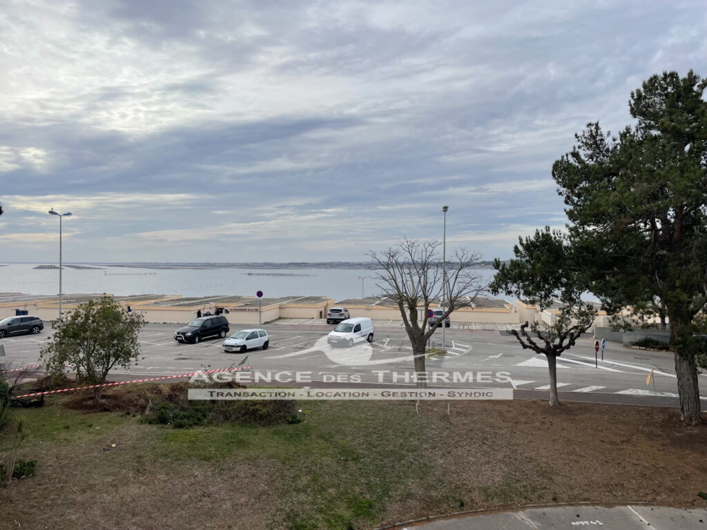 T1 vue étang – 2 pièces – 1 chambre – 31 m²