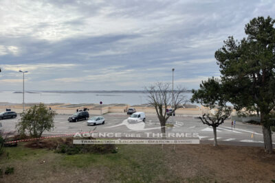 T1 vue étang – 2 pièces – 1 chambre – 31 m²