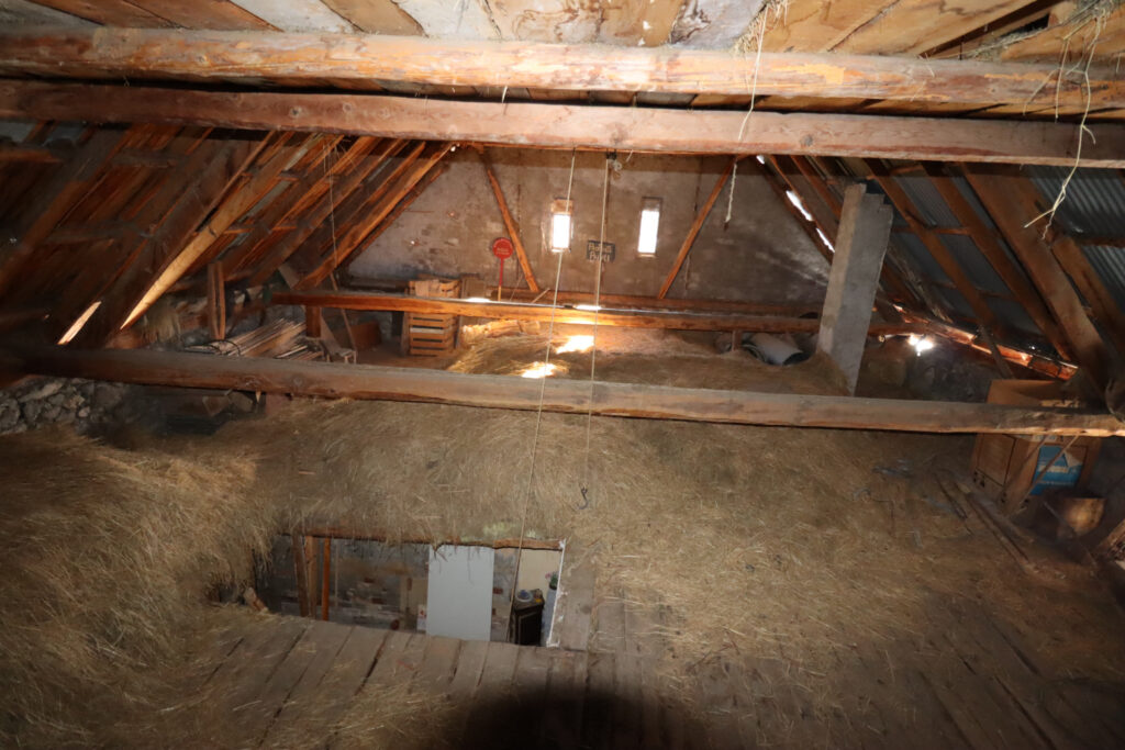 Maison à rénover avec 1 appartement plus récent – 10 pièces – 1 chambre – 249 m²