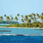 ILE Privée Atoll AU tuamotu Atoll de MANUHANGI