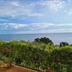Propriété vue mer époustouflante accès direct plage à Solenzara – 6 pièces – NR chambres – NR voyageurs – 150 m²