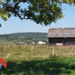 Opportunité exceptionnelle : Domaine Agricole avec plus de 17 Hectares de Prairie. – NR pièces – NR chambres