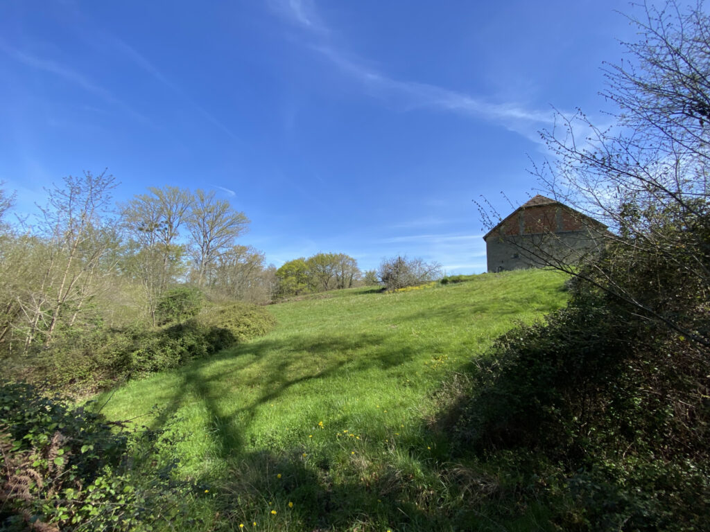 Propriété 11 Hectares Vue Pyrénées – 7 pièces – 5 chambres – 170 m²