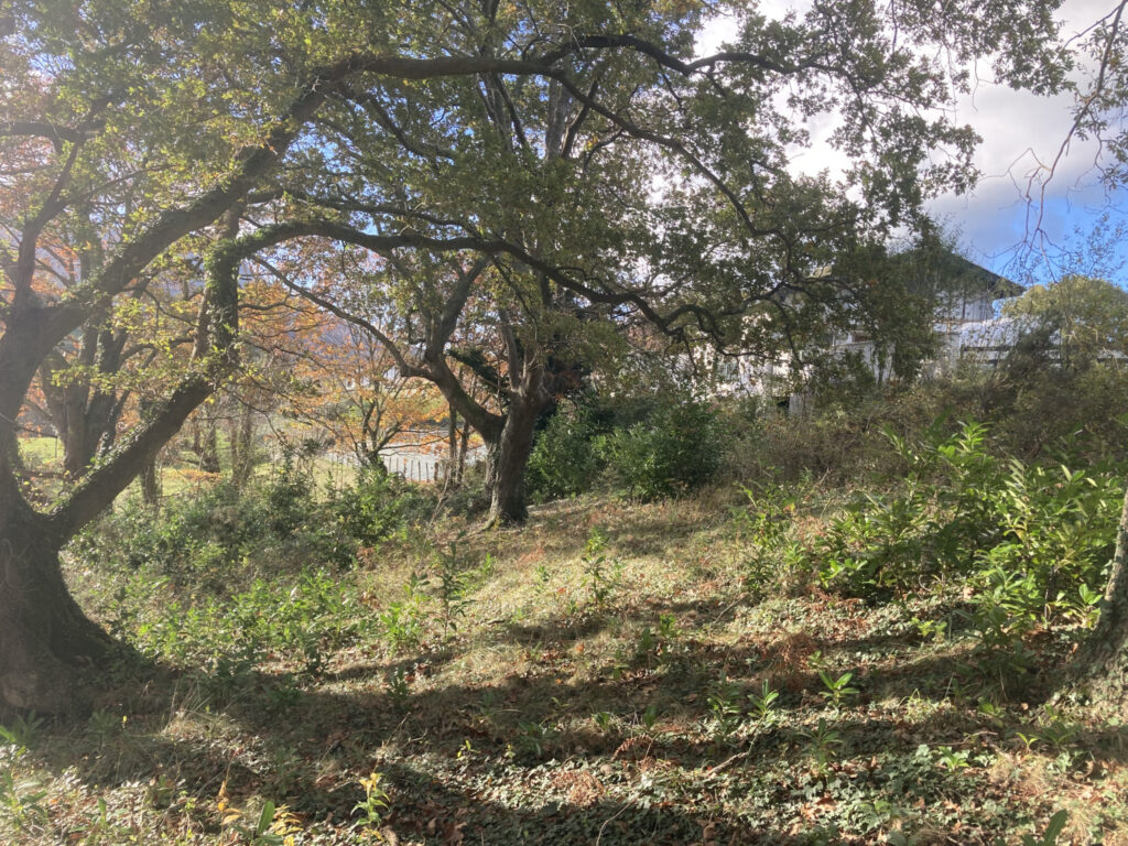 Beau terrain constructible de 2450m2