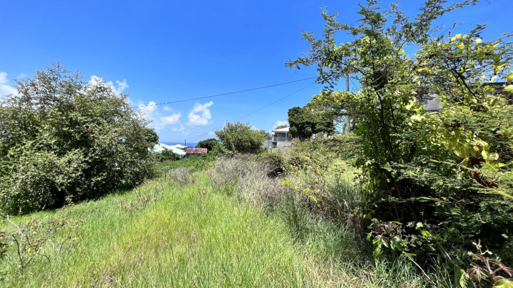 Terrain vue mer Vieux-Habitants – 900 m²