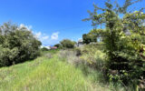 Terrain vue mer Vieux-Habitants – 900 m²