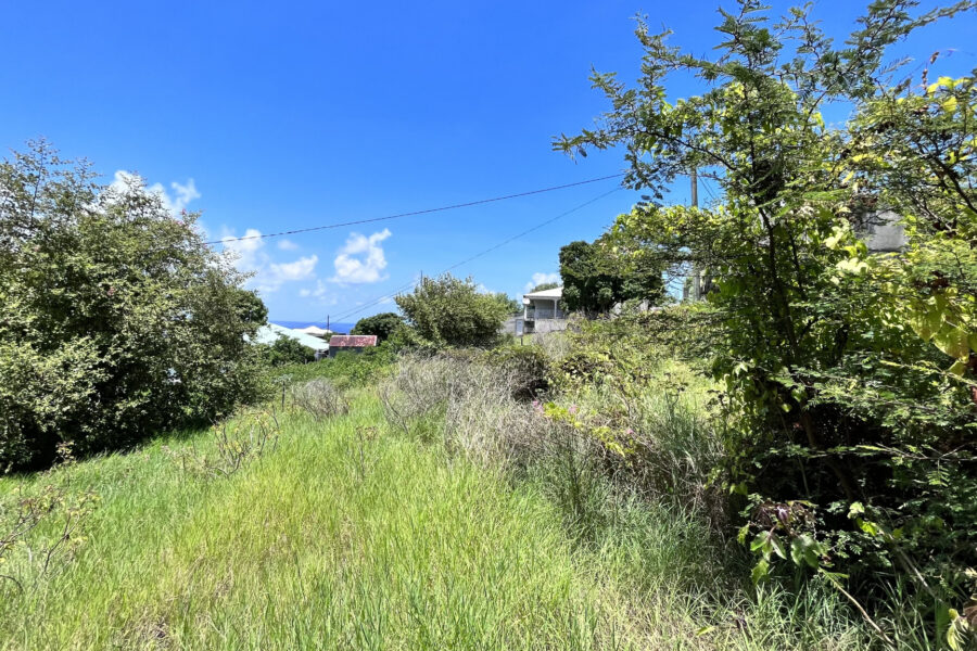 Terrain à vendre à Vieux-habitants