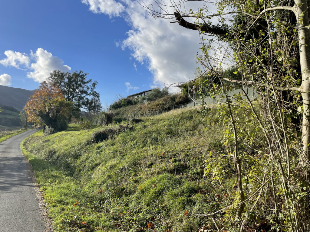 Beau terrain constructible de 2450m2