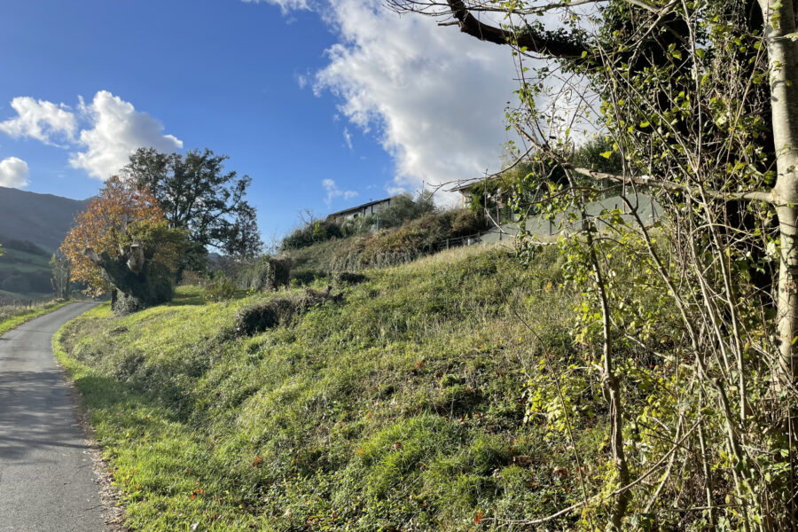 Terrain à vendre à Hasparren