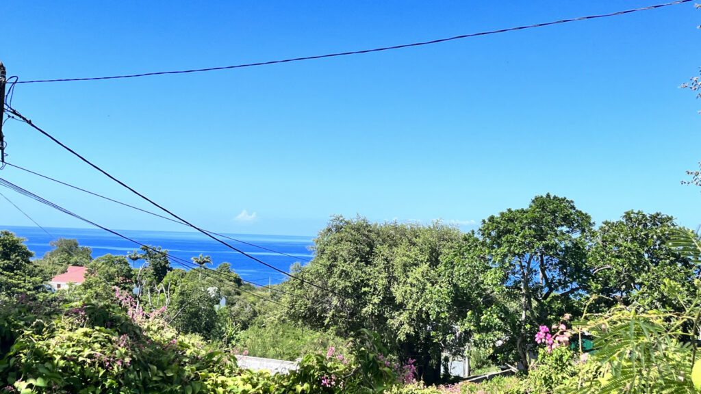 Terrain vue mer Vieux-Habitants – 900 m²