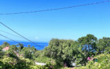 Terrain vue mer Vieux-Habitants – 900 m²