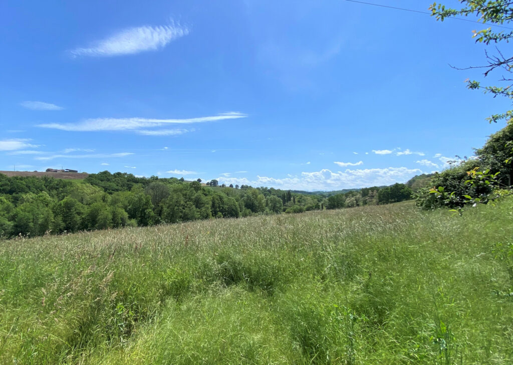 Propriété 11 Hectares Vue Pyrénées – 7 pièces – 5 chambres – 170 m²