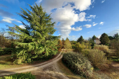 Gentilhommière de 400 m2 dans un parc de 18 500 m2 – 12 pièces – 6 chambres – 357 m²