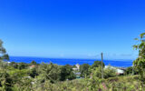 Terrain vue mer Vieux-Habitants – 900 m²