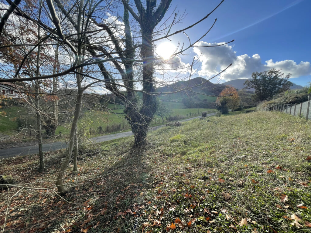 Beau terrain constructible de 2450m2