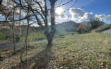 Beau terrain constructible de 2450m2