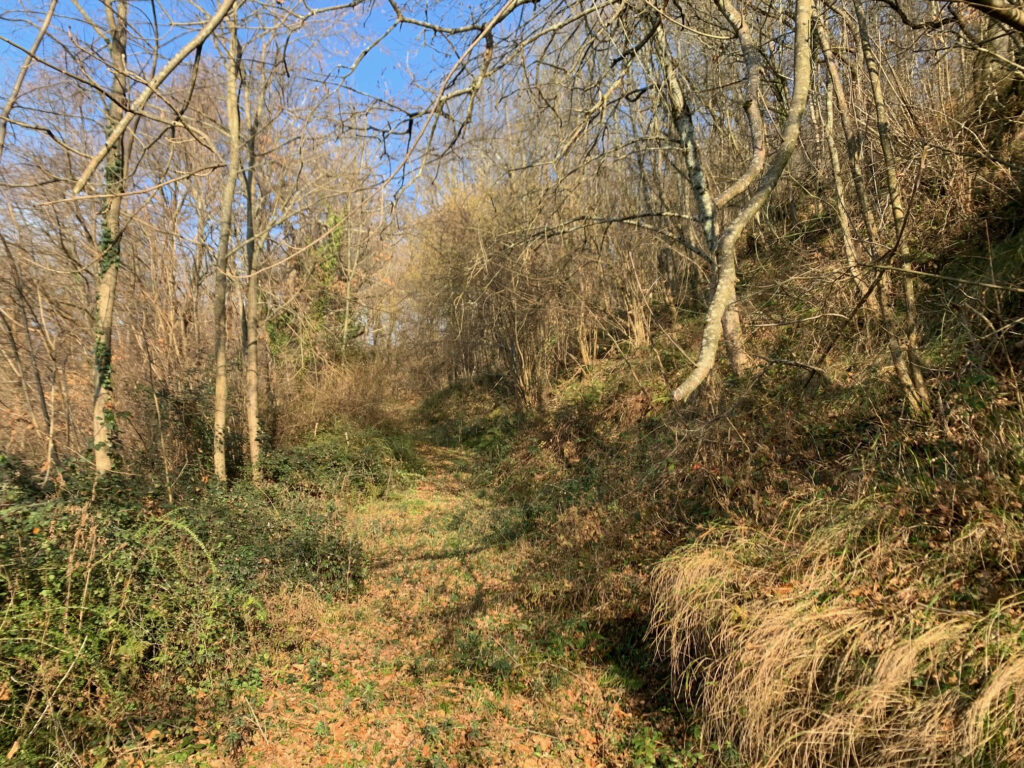 Un petit havre de paix avec vue splendide – 3 pièces – 2 chambres – 56 m²