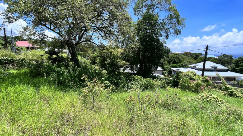 Terrain vue mer Vieux-Habitants – 900 m²